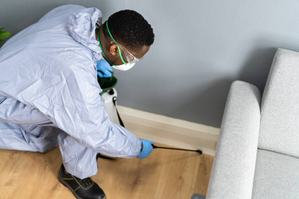 Best Bed Bug Extermination  in Abbeville, LA